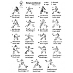 Forms & Lesson Plans – Koryo Do Martial Arts Studio, St. Augustine, FL ...